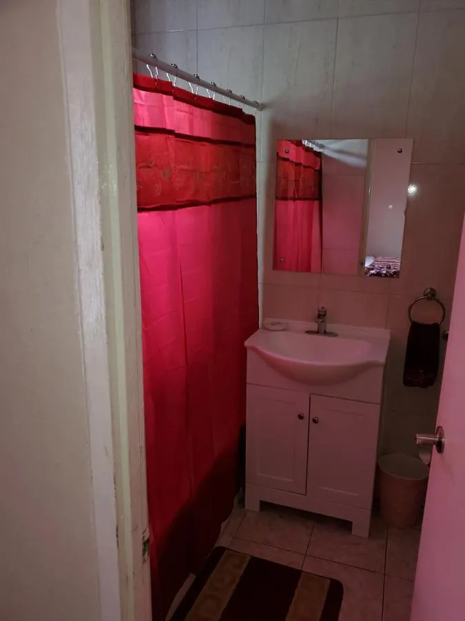 Richard'S Wanderlust Palm Villa Kingston