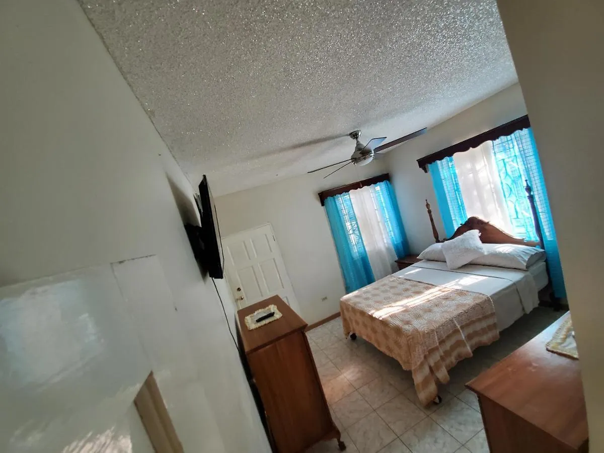 Richard'S Wanderlust Palm Villa Kingston 0*,  Jamaica
