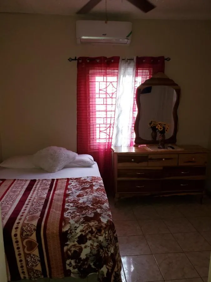 Richard'S Wanderlust Palm Villa Kingston Holiday home